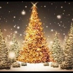 Meet your Posher, Robyne